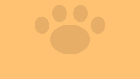 Popup-paw-Transitions.-1080p---30-fps---Alpha-Channel-(3)